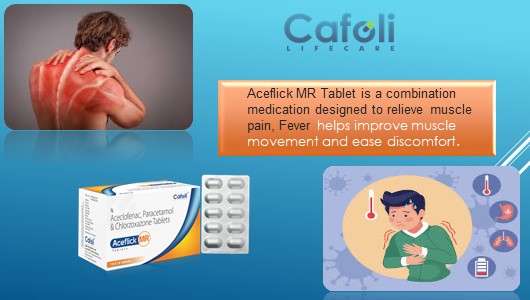 Aceflick MR Tablet with Aceclofenac 100mg + Paracetamol 325mg + Chlorzoxazone 250mg at Best Price in Analgesic Pharma Franchise for Pain Relief and Muscle Relaxants